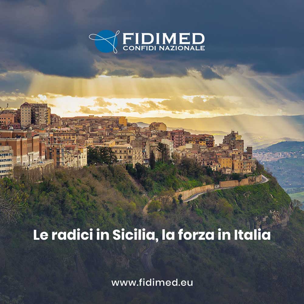 fidimed-10